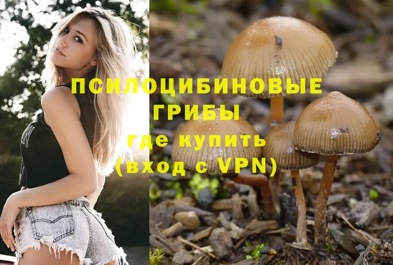 Псилоцибиновые грибы Magic Shrooms  цены   ссылка на мегу ссылки  Апрелевка 